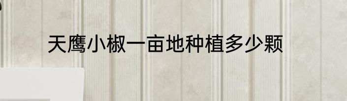 天鹰小椒一亩地种植多少颗