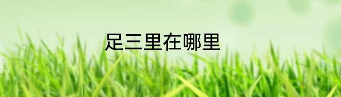 足三里在哪里
