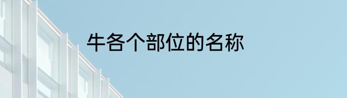 牛各个部位的名称