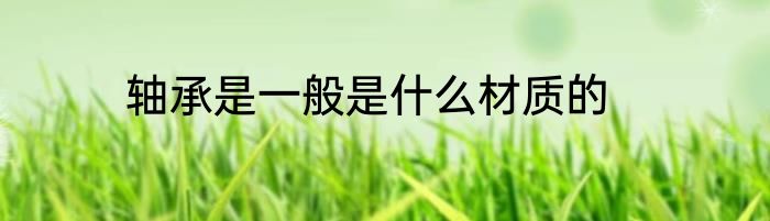 轴承是一般是什么材质的