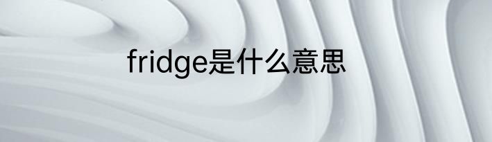 fridge是什么意思
