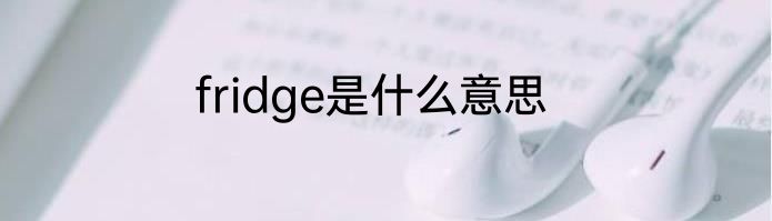fridge是什么意思