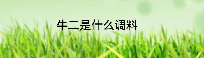 牛二是什么调料