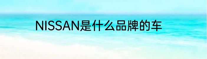 NISSAN是什么品牌的车