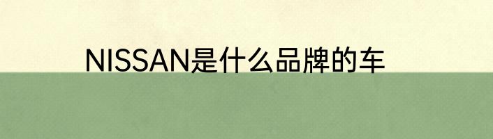 NISSAN是什么品牌的车