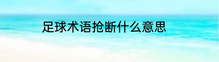足球术语抢断什么意思