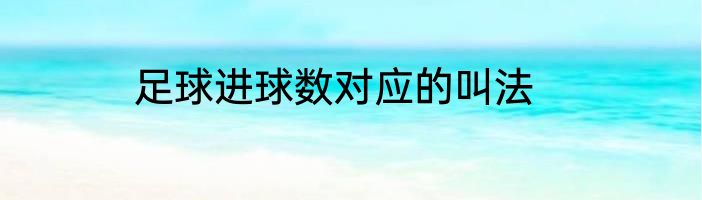 足球进球数对应的叫法