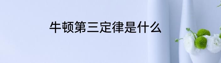 牛顿第三定律是什么