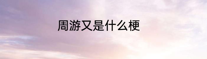 周游又是什么梗