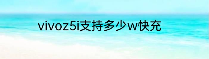 vivoz5i支持多少w快充