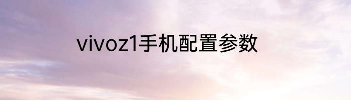 vivoz1手机配置参数