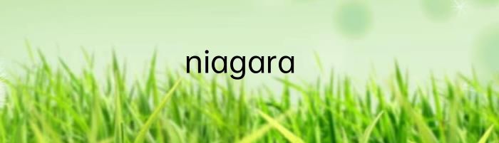 niagara