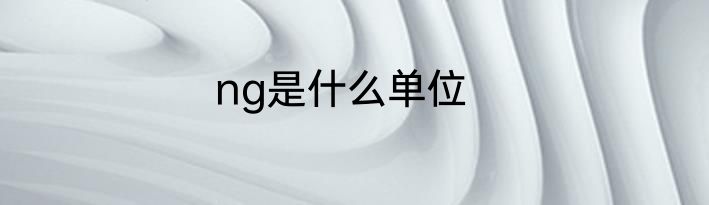 ng是什么单位