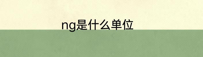 ng是什么单位