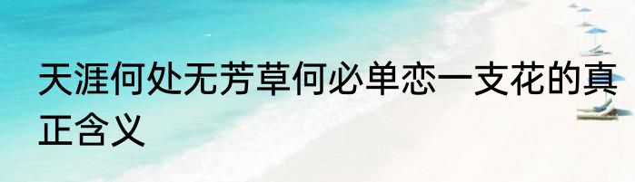 天涯何处无芳草何必单恋一支花的真正含义