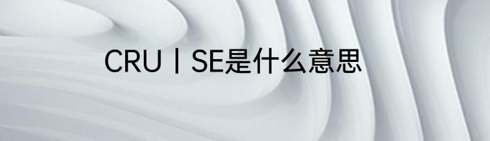 CRU丨SE是什么意思