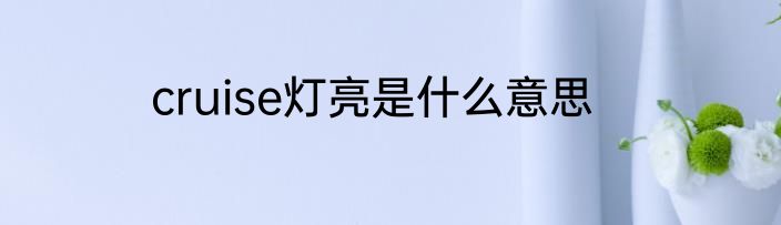 cruise灯亮是什么意思