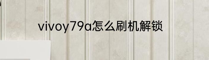 vivoy79a怎么刷机解锁