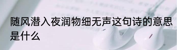 随风潜入夜润物细无声这句诗的意思是什么