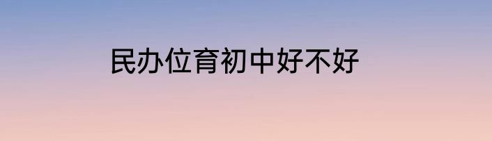 民办位育初中好不好