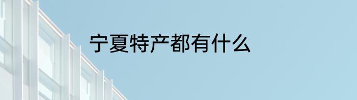 宁夏特产都有什么