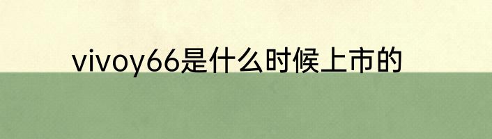 vivoy66是什么时候上市的