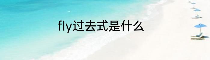 fly过去式是什么