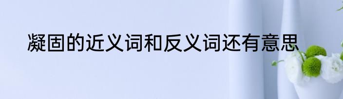 凝固的近义词和反义词还有意思