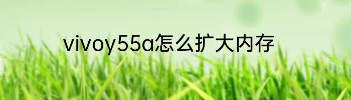 vivoy55a怎么扩大内存
