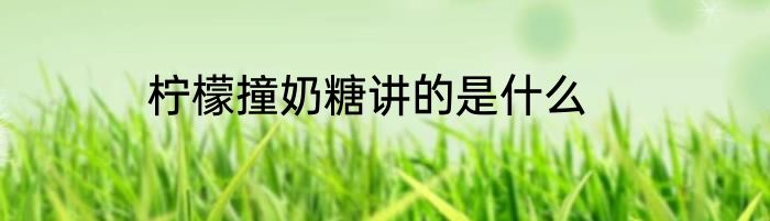柠檬撞奶糖讲的是什么