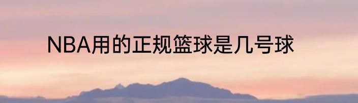 NBA用的正规篮球是几号球