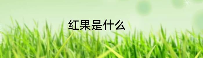 红果是什么
