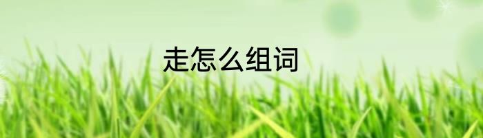 走怎么组词