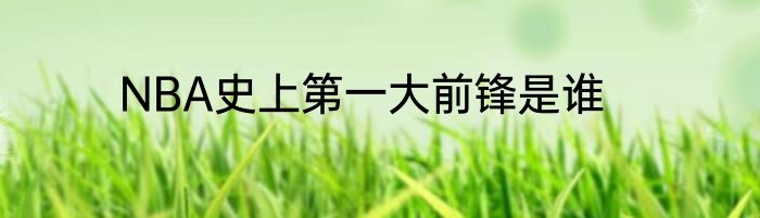 NBA史上第一大前锋是谁