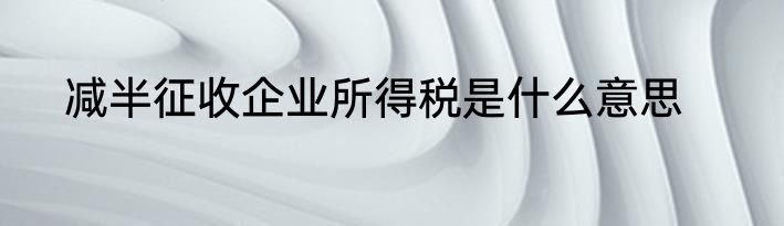 减半征收企业所得税是什么意思