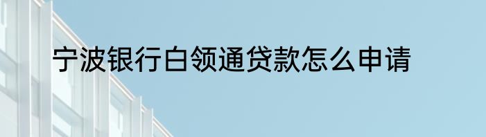 宁波银行白领通贷款怎么申请