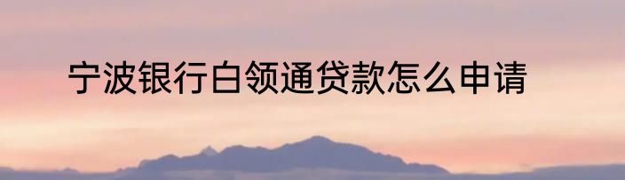 宁波银行白领通贷款怎么申请