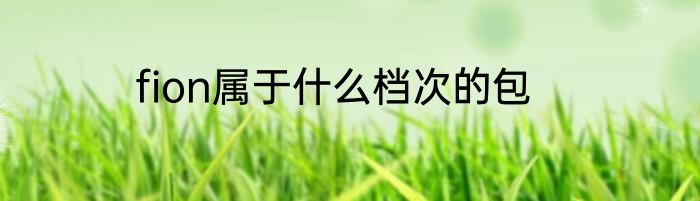 fion属于什么档次的包