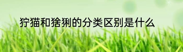 狞猫和猞猁的分类区别是什么