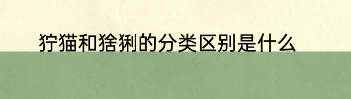 狞猫和猞猁的分类区别是什么
