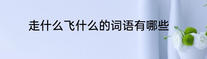 走什么飞什么的词语有哪些
