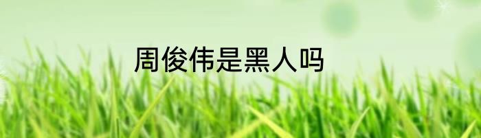 周俊伟是黑人吗