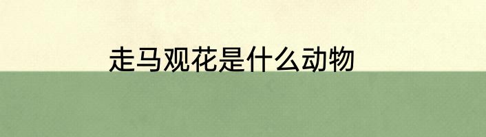 走马观花是什么动物