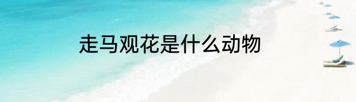 走马观花是什么动物