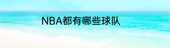 NBA都有哪些球队