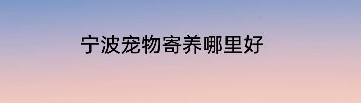 宁波宠物寄养哪里好