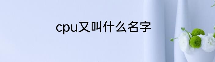 cpu又叫什么名字