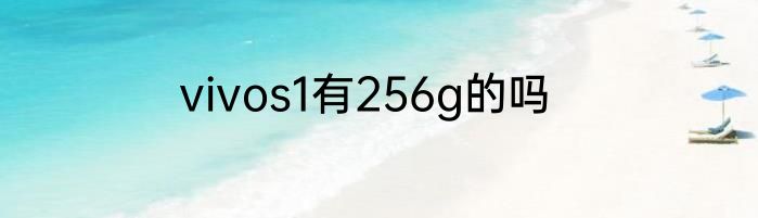 vivos1有256g的吗