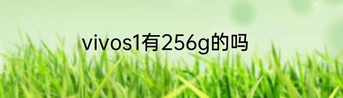 vivos1有256g的吗