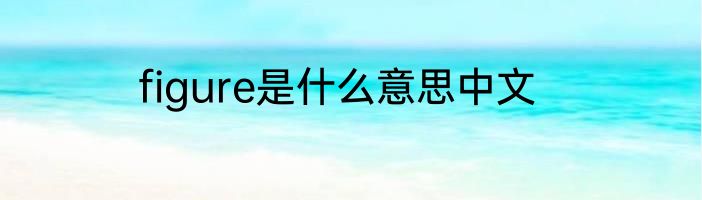figure是什么意思中文